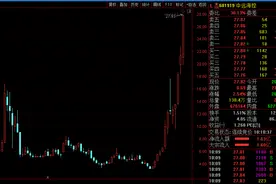否极泰来！中远海控1年涨8倍 股价创出逾13年新高图片