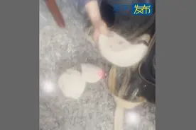 这样的“石头”不能带图片