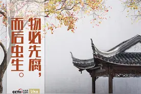 “典”亮百年｜物必先腐，而后虫生图片