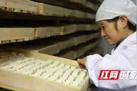 一块小小霉豆腐 撑起一方大产业图片