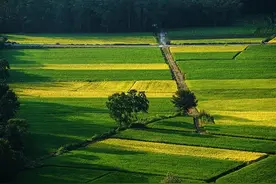 767个！安徽将新建这些美丽乡村省级中心村图片