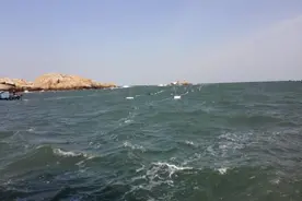 30万吨海水仅含1千克铀，上海科学家成功开展千克级海水提铀试验图片