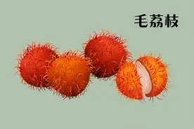 山荔枝？毛荔枝？说说那些不一样的“荔枝”图片