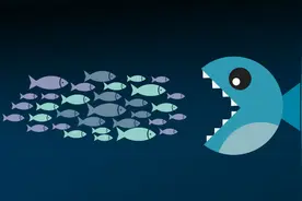 猎人与猎物丨东张西望图片