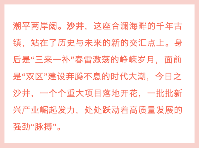 蚝乡回忆录②| 产业新“高地”：“蚝歌”嘹亮，智造辉煌