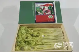 太空归来身价大涨“上过天”的马家沟芹菜一斤卖300元图片