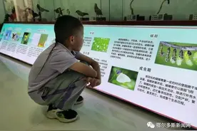 免费开放！鄂尔多斯这里有很多动物植物标本图片