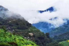 周末出游！打卡楚雄这几个新晋的旅游名村，清凉过夏天图片