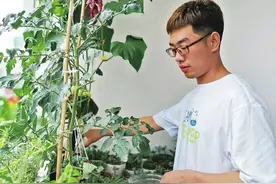 大学“宿舍版”农场来了！周口大学生把阳台打造成“菜地”图片