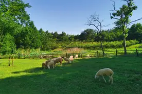安吉五峰山有个运动村图片
