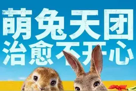 《比得兔2》：兔兔可爱，不仅仅是卖萌图片