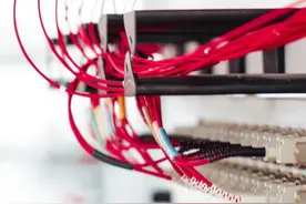 张涛甫：优化算法，需要平台、管理者、用户等各方“共治”图片