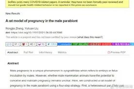 中国科学家成果：与雌鼠连体并获植子宫后，雄鼠怀孕分娩十崽图片