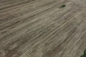 人间丨爸爸终于找到你了！山东90岁老父亲与丢失58年儿子重逢视频封面