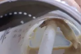 吐了！奶茶布丁吸不上来 女子戳开发现一只壁虎图片