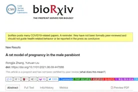 全球首次！中国科学家让公鼠怀孕，成功诞下10只健康幼崽图片