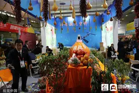 为什么神舟飞天每次都带“它”？看我国“太空种子”如何“既上天又入地”图片