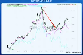 张坤的滑铁卢图片