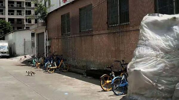 珠海有个地方源源不断生产僵尸车！面对举报，交警想出这个妙招