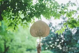 夏天吃点“苦”这些养生食物记得收藏图片
