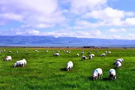 月薪6000元包吃住，夫妻优先，这个招聘火了图片