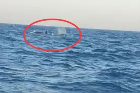 事发大连！三头巨型海兽浮出海面，专家确认它们是虎鲸图片