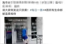 上海一男子踩踏小猫致死，民警：已进行思想教育图片