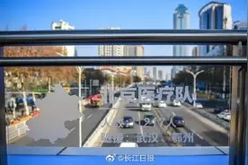 武汉首座抗疫主题天桥今天命名图片