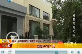 一个雨夜天 荆州某别墅内装满金银珠宝的保险柜被盗图片