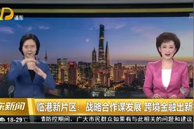 临港新片区：战略合作谋发展 跨境金融出新招视频封面