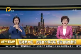 临港新片区：战略合作谋发展 跨境金融出新招视频封面