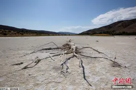 干旱季遇野火季 美国多地独立日焰火表演被取消图片