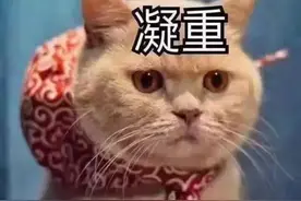 20岁小伙尿液变成红茶色，一查身体出了大问题！注意，尿液出现这几种颜色要当心了图片