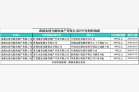 合能地产：上不了市，交不了房图片