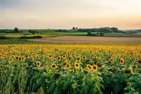 官宣：6月22日辽宁正式入夏 较常年早11天图片