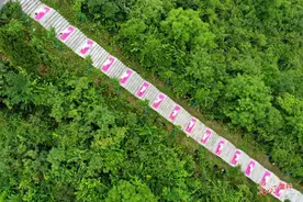 美丽乡村秀瑜伽 迎接国际瑜伽日图片