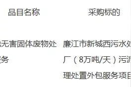 广东省廉江市新城西污水处理厂（8万吨/天）污泥处理处置外包服务项目招标公告图片