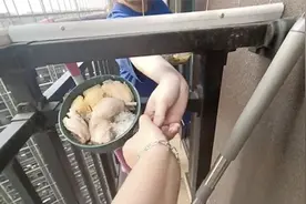 开饭啦！女孩疫情期间独居 每日收获邻居妹妹“爱心”投喂图片