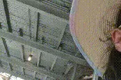 画面曝光！美国华裔女子等地铁被黑人骚扰：对方一边跟踪一边骂图片