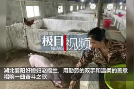 襄阳好媳妇赵福兰：柔弱双肩扛重担，吃咸菜睡猪圈，供养侄女上学图片