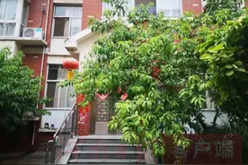 门口种满果树，南李庄社区变“景区”图片