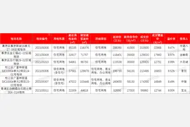 上海集中土拍第二日：6宗地收金101亿，金融街、首创等落子图片