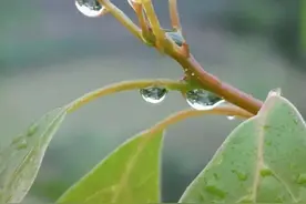 晚间悦读丨让人放心，是一个人最好的能力图片