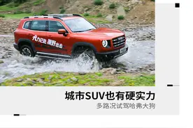 城市SUV也有硬实力 多路况试驾哈弗大狗图片