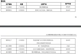 动力电池又一新进者？赣锋锂电首次对外供应电动车电芯｜见智研究所图片