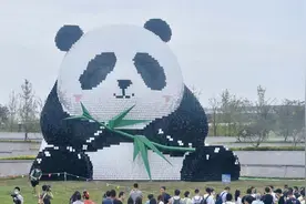 小燕Vlog｜高科技、文艺范儿！打探成都天府国际机场视频封面