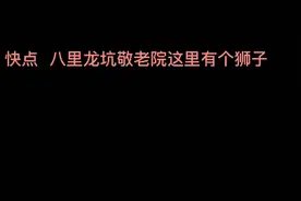 哭笑不得！市民将剃过毛的狗误认成狮子报警，网友调侃：狗子好“委屈”图片