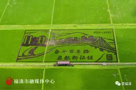 福清巨幅稻田画迎来观赏期，错过等一年图片