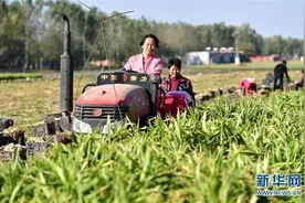 “农二代”“农三代”不愿务农，农村土地撂荒了怎么办？图片