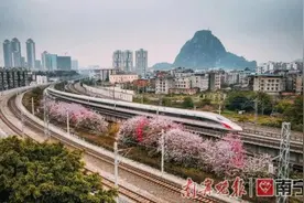 南宁至厦门有直达动车啦！6月25日起全国铁路实施新列车运行图图片